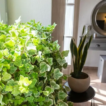 Apartment Anna Maria's, Cozy In The Heart Of Fiscardo